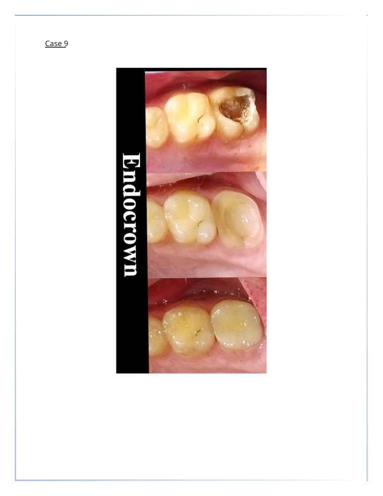 13 | Egypt Chiropractic Center | Egypt Chiropractic Center