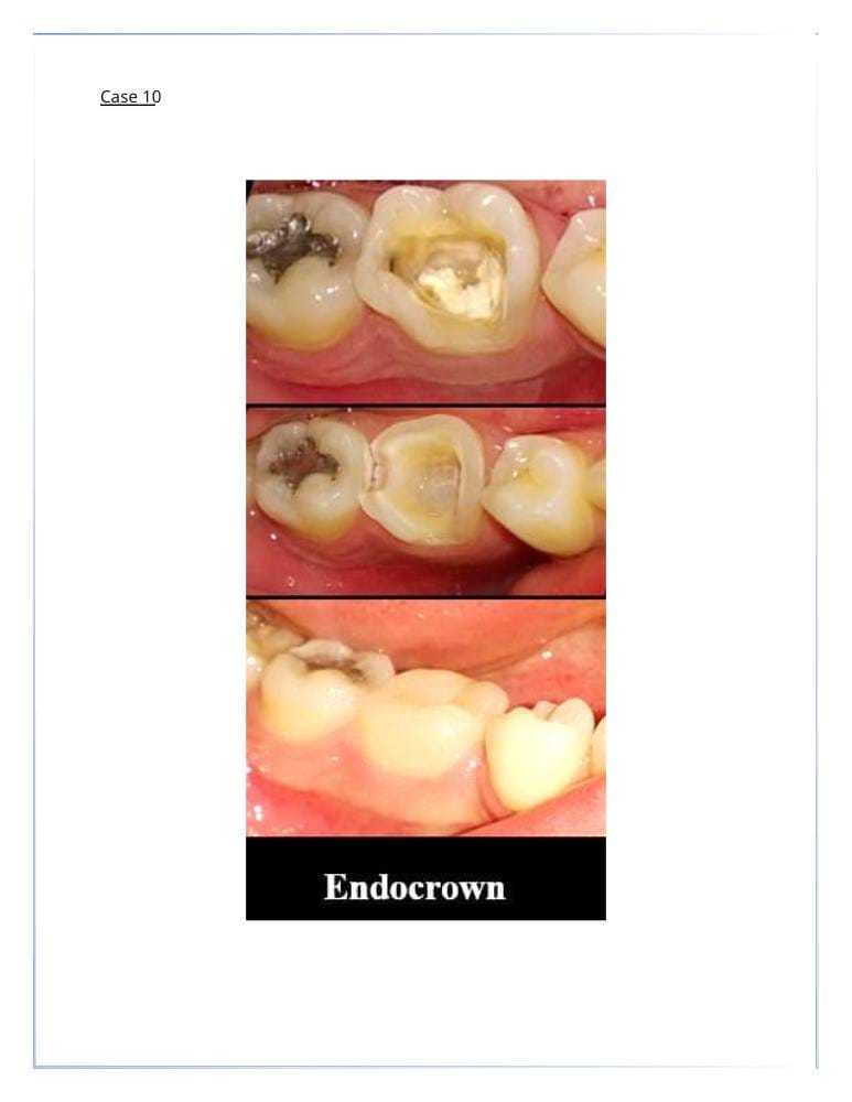 14 | Egypt Chiropractic Center | Egypt Chiropractic Center