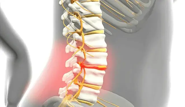 1669367570198054478814215640x372 | Egypt Chiropractic Center | Egypt Chiropractic Center