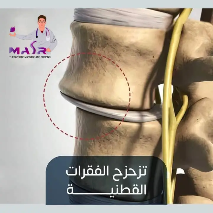1ec558b7a5194cea809589b0b7cfc151 | Egypt Chiropractic Center | Egypt Chiropractic Center