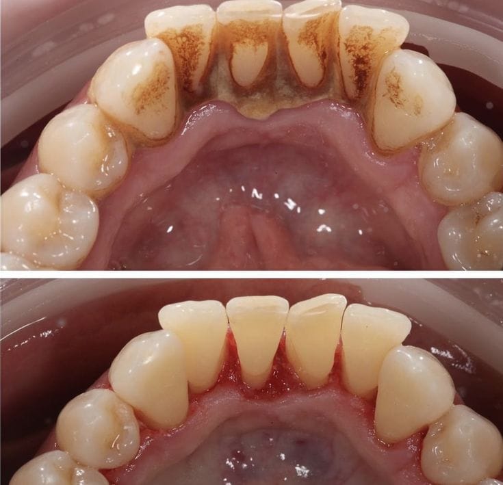 WhatsApp Image 20241015 at 90811 PM | Egypt Chiropractic Center | Egypt Chiropractic Center