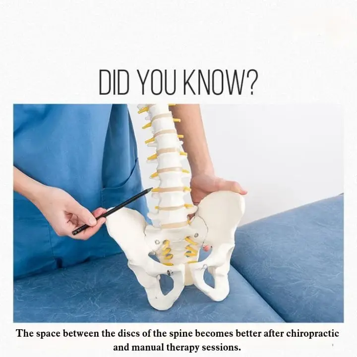 a664e1522a464ff8a8117a391263bc7a | Egypt Chiropractic Center | Egypt Chiropractic Center