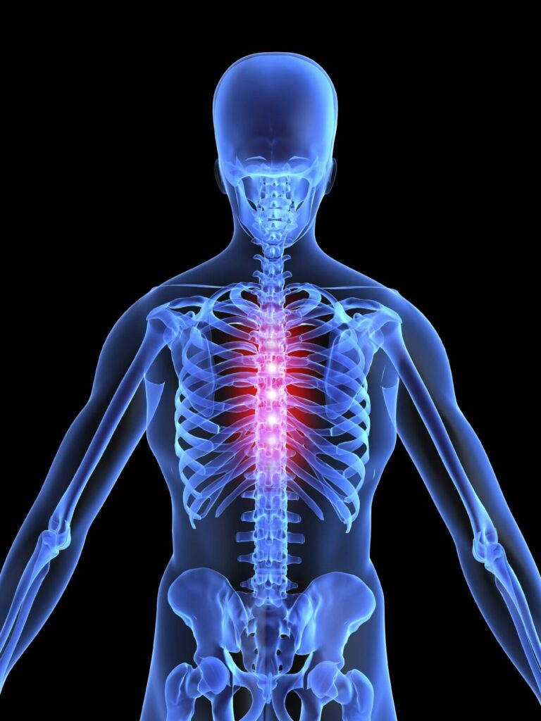 WhatsApp Image 20241224 at 15816 AM | Egypt Chiropractic Center | Egypt Chiropractic Center